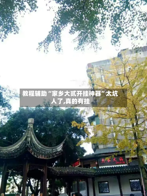 教程辅助“家乡大贰开挂神器	”太坑人了,真的有挂-第1张图片