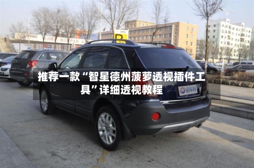 推荐一款“智星德州菠萝透视插件工具”详细透视教程-第1张图片