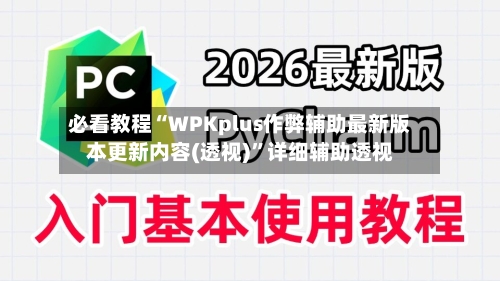必看教程“WPKplus作弊辅助最新版本更新内容(透视)”详细辅助透视-第1张图片