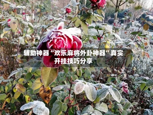 辅助神器“欢乐麻将外卦神器”真实开挂技巧分享-第1张图片