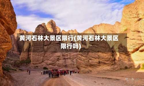 黄河石林大景区限行(黄河石林大景区限行吗)-第1张图片
