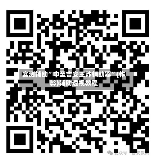 实测辅助”中至吉安王炸辅助器	”(作弊)辅助透视教程-第1张图片