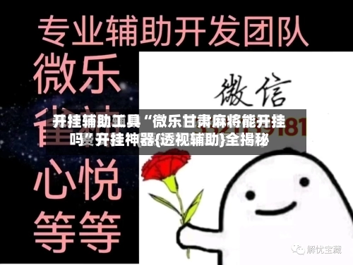 开挂辅助工具“微乐甘肃麻将能开挂吗”开挂神器{透视辅助}全揭秘-第1张图片