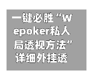 一键必胜“Wepoker私人局透视方法”详细外挂透视辅助软件教程-第1张图片
