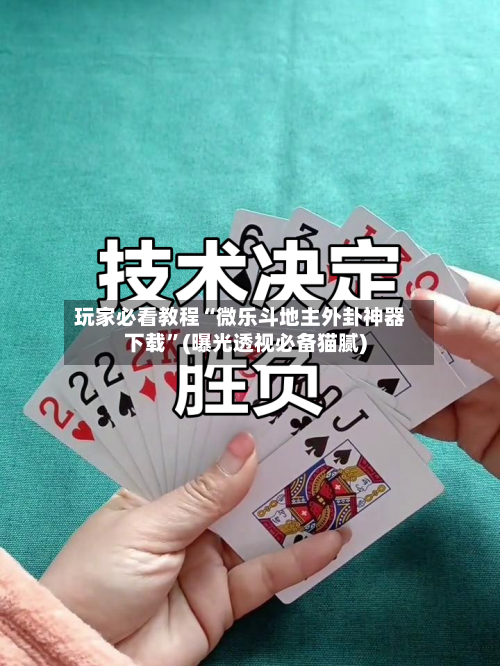 玩家必看教程“微乐斗地主外卦神器下载”(曝光透视必备猫腻)-第1张图片