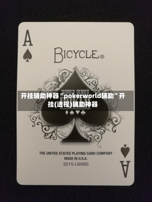 开挂辅助神器“pokerworld辅助”开挂(透视)辅助神器-第1张图片