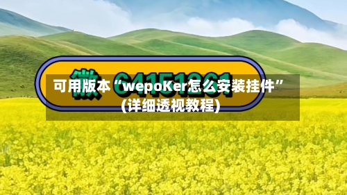 可用版本“wepoKer怎么安装挂件”(详细透视教程)-第1张图片