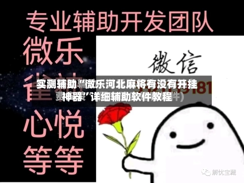 实测辅助“微乐河北麻将有没有开挂神器”详细辅助软件教程-第1张图片