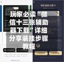 玩家必读“微信十三张辅助器下载”详细分享装挂步骤教程-第1张图片