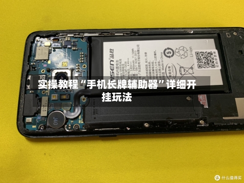 实操教程“手机长牌辅助器	”详细开挂玩法-第1张图片