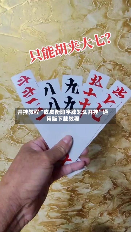 开挂教程“皮皮衡阳字牌怎么开挂”通用版下载教程-第1张图片