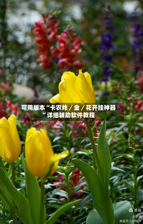 可用版本“卡农炸／金／花开挂神器”详细辅助软件教程-第1张图片