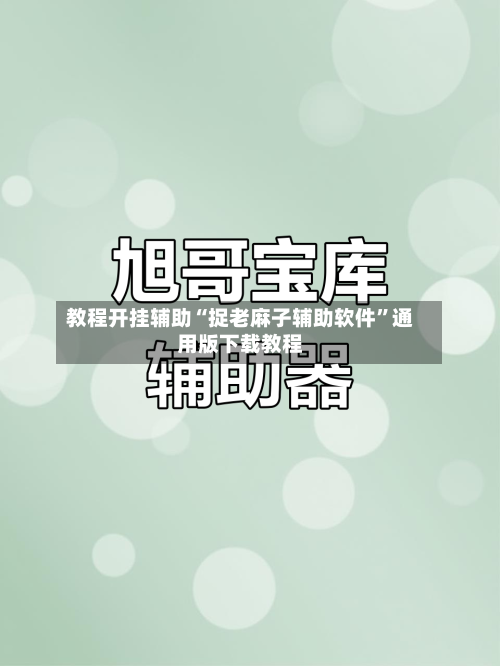 教程开挂辅助“捉老麻子辅助软件”通用版下载教程-第1张图片