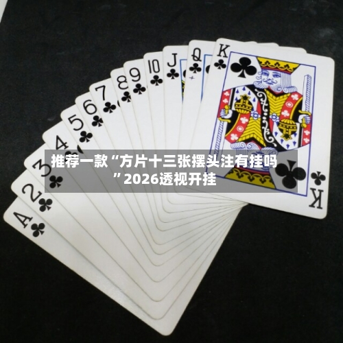 推荐一款“方片十三张摆头注有挂吗”2026透视开挂-第1张图片
