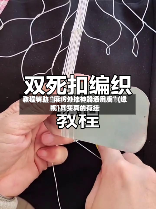 教程辅助“麻将外挂神器通用版”(透视)其实真的有挂-第1张图片
