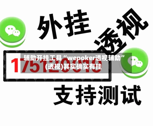 辅助开挂工具“wepoker透视辅助”(透视)其实确实有挂-第1张图片
