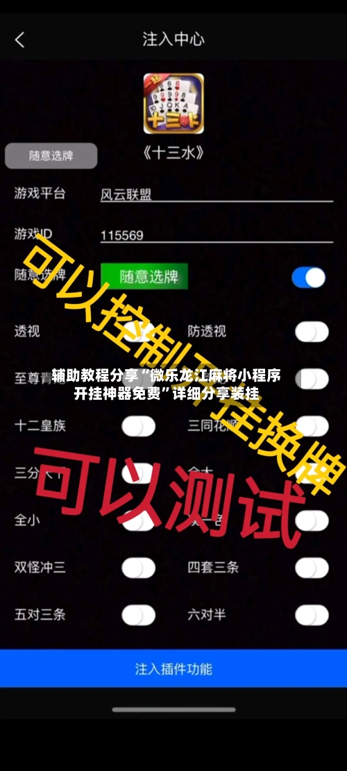 辅助教程分享“微乐龙江麻将小程序开挂神器免费”详细分享装挂-第1张图片