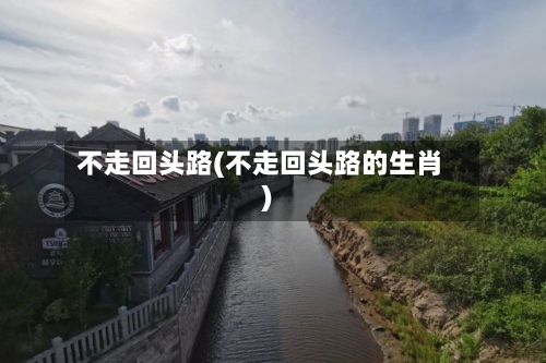不走回头路(不走回头路的生肖)-第1张图片