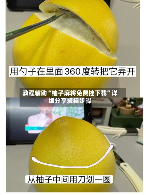 教程辅助“柚子麻将免费挂下载”详细分享装挂步骤-第1张图片