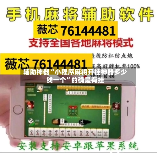 辅助神器“小程序麻将开挂神器多少钱一个”的确是有挂-第1张图片