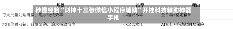 秒懂经验“财神十三张微信小程序辅助	”开挂科技辅助神器手机-第1张图片