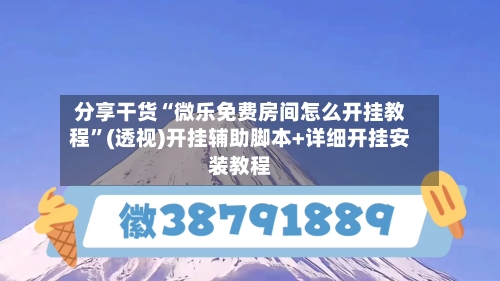 分享干货“微乐免费房间怎么开挂教程”(透视)开挂辅助脚本+详细开挂安装教程-第1张图片