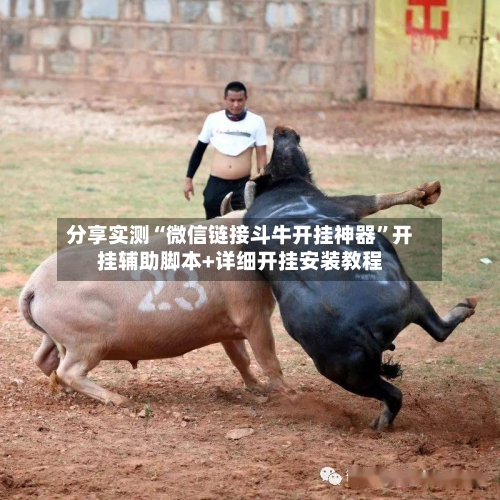 分享实测“微信链接斗牛开挂神器”开挂辅助脚本+详细开挂安装教程-第1张图片