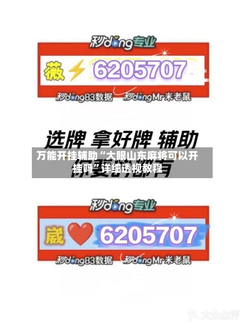 万能开挂辅助“大眼山东麻将可以开挂吗”详细透视教程-第1张图片