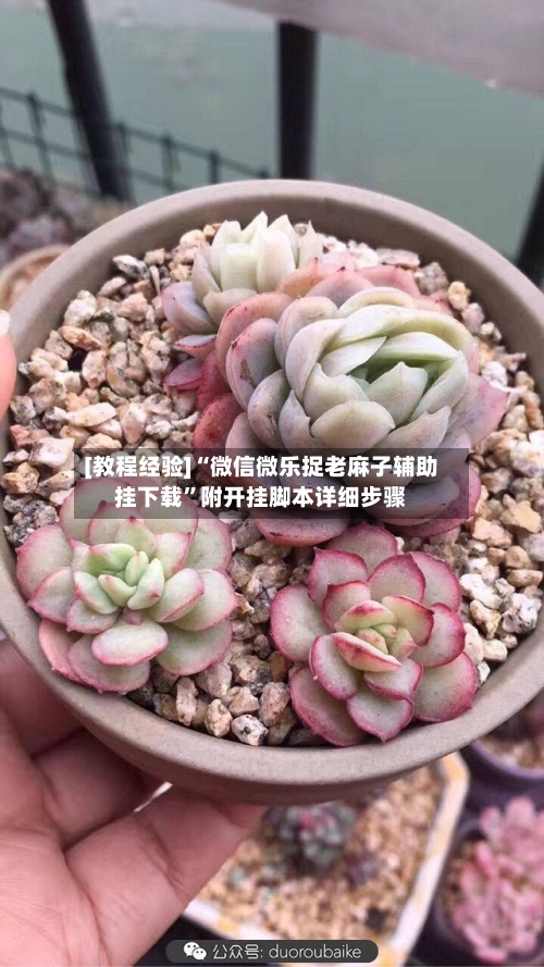 [教程经验]“微信微乐捉老麻子辅助挂下载	”附开挂脚本详细步骤-第1张图片