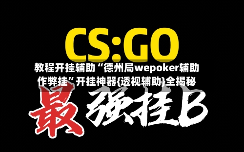 教程开挂辅助“德州局wepoker辅助作弊挂	”开挂神器{透视辅助}全揭秘-第1张图片