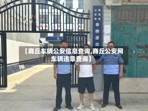 【商丘车辆公安信息查询,商丘公安网车辆违章查询】-第1张图片