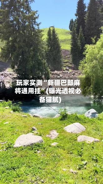 玩家实测“新疆巴郎麻将通用挂”(曝光透视必备猫腻)-第1张图片