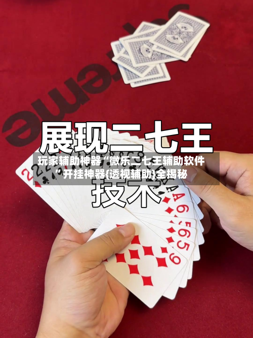 玩家辅助神器“微乐二七王辅助软件”开挂神器{透视辅助}全揭秘-第1张图片