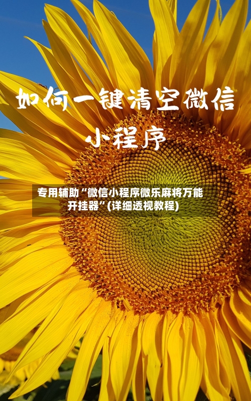 专用辅助“微信小程序微乐麻将万能开挂器”(详细透视教程)-第1张图片