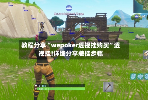 教程分享“wepoker透视挂购买	”透视挂!详细分享装挂步骤-第1张图片