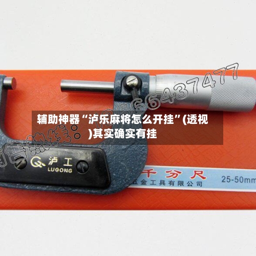 辅助神器“泸乐麻将怎么开挂”(透视)其实确实有挂-第1张图片
