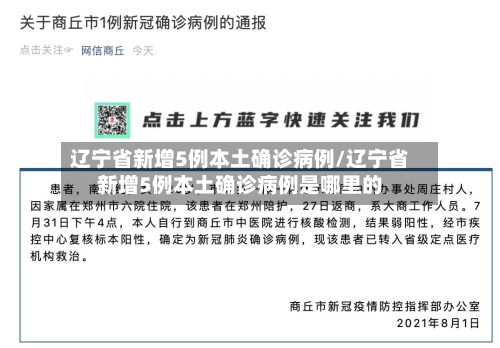 辽宁省新增5例本土确诊病例/辽宁省新增5例本土确诊病例是哪里的-第1张图片