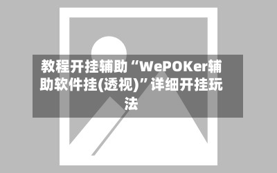 教程开挂辅助“WePOKer辅助软件挂(透视)”详细开挂玩法-第1张图片