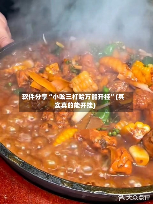 软件分享“小吆三打哈万能开挂	”(其实真的能开挂)-第1张图片