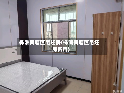 株洲荷塘区毛坯房(株洲荷塘区毛坯房费用)-第1张图片