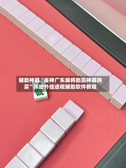 辅助神器“雀神广东麻将助赢神器购买	”详细外挂透视辅助软件教程-第1张图片