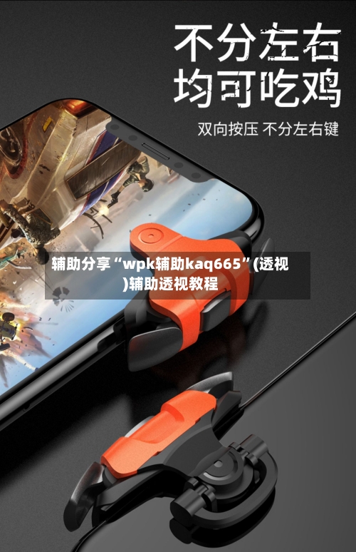辅助分享“wpk辅助kaq665”(透视)辅助透视教程-第1张图片