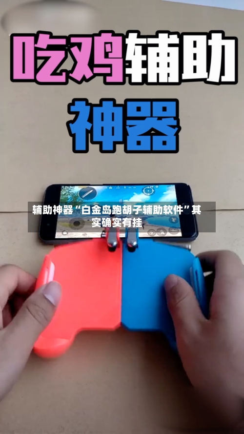 辅助神器“白金岛跑胡子辅助软件”其实确实有挂-第1张图片