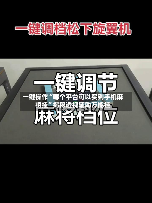 一键操作“哪个平台可以买到手机麻将挂”揭秘透视辅助万能挂-第1张图片