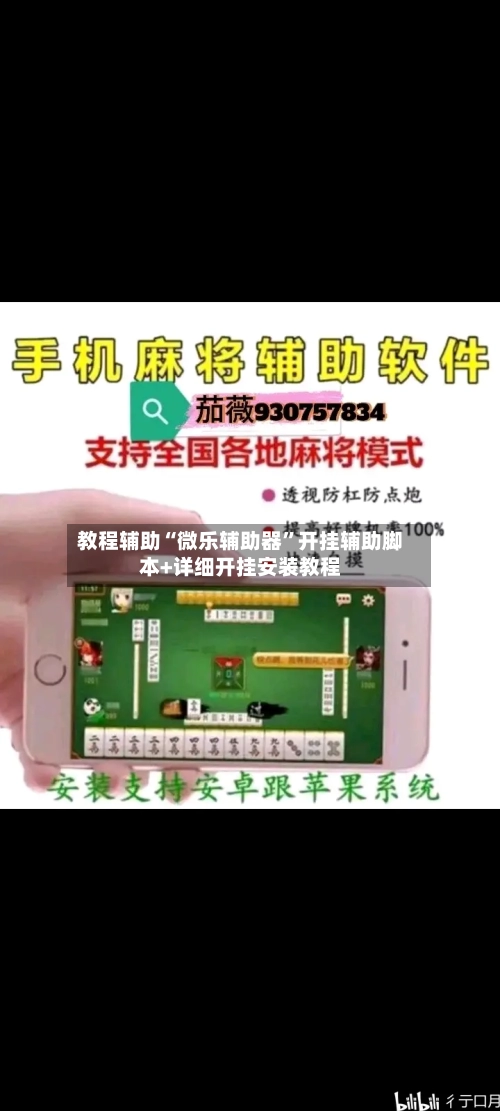 教程辅助“微乐辅助器	”开挂辅助脚本+详细开挂安装教程-第1张图片