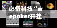 必备科技“wepoker开挂辅助方法(透视)”详细开挂玩法-第1张图片