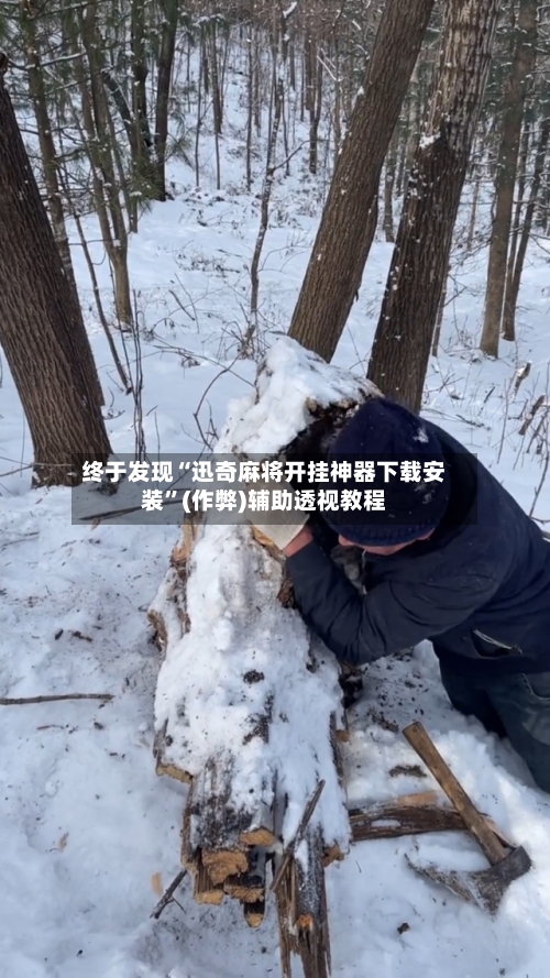 终于发现“迅奇麻将开挂神器下载安装	”(作弊)辅助透视教程-第1张图片