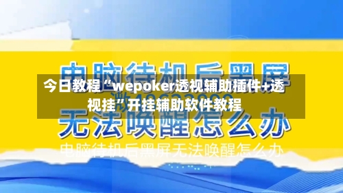 今日教程“wepoker透视辅助插件+透视挂	”开挂辅助软件教程-第1张图片
