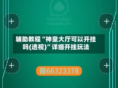 辅助教程“神皇大厅可以开挂吗(透视)”详细开挂玩法-第1张图片