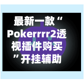 最新一款“Pokerrrr2透视插件购买”开挂辅助脚本+详细开挂安装教程-第1张图片